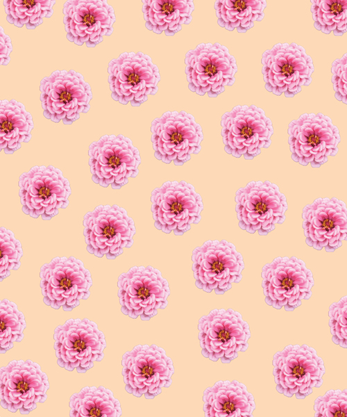 pink flowers design
