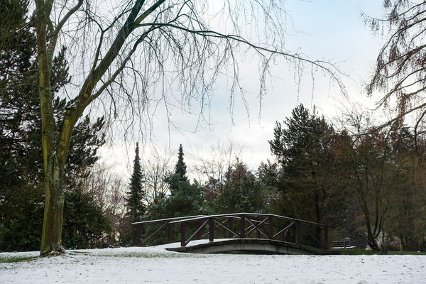 winter bridge landscape