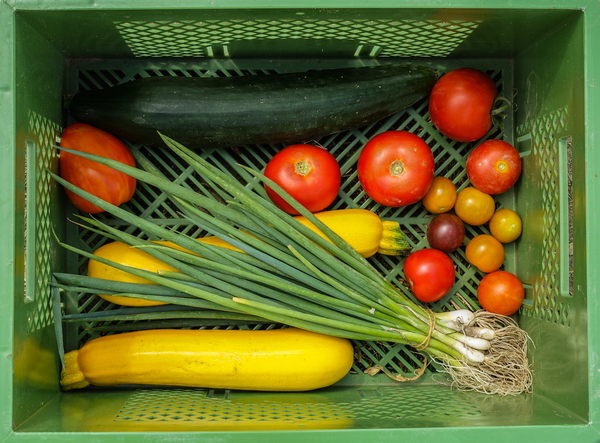 organic cooperative farming