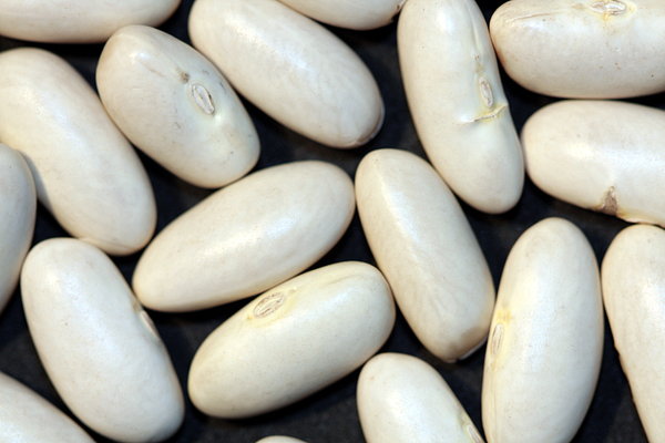 Food texture: White Beans