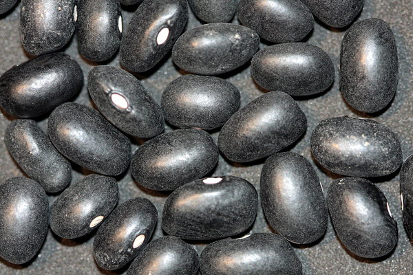 Food texture: Black Beans