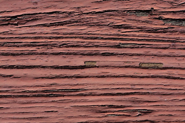 Painted wood texture 1