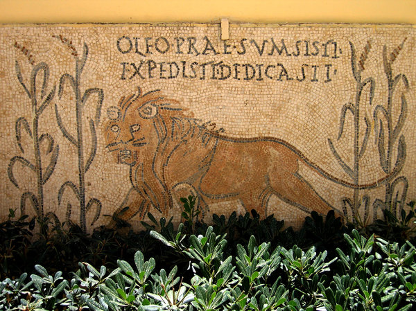 Carthage lion