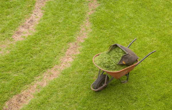 Wheelbarrow and grass