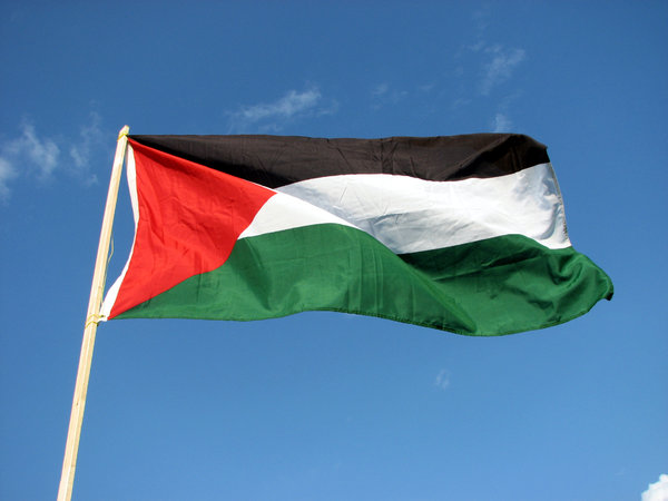 The Palestinian flag  1
