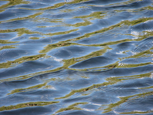 Water Texture 1