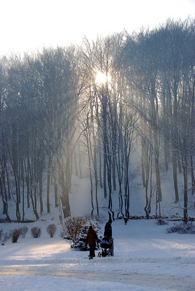 Winter walk in sundown rays