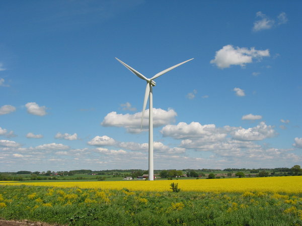 wind mills and yellow field 2