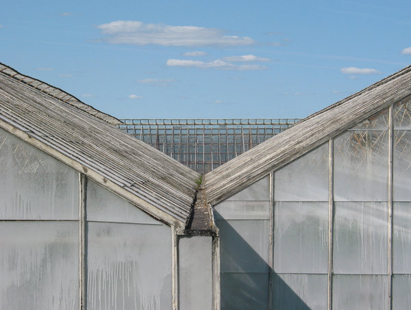 greenhouse 3