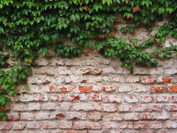brickwall texture 45
