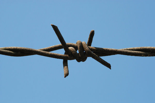 Barb Wire Closeup