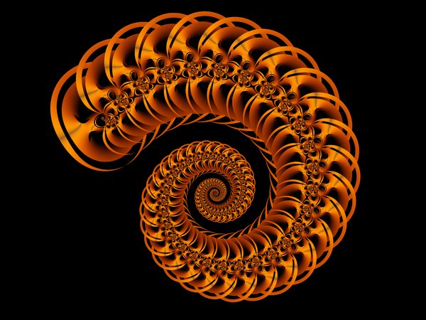 Spiral shell 2