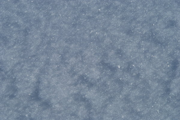 Snow Texture 1