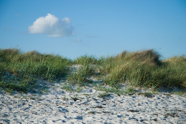 Dunes on beach