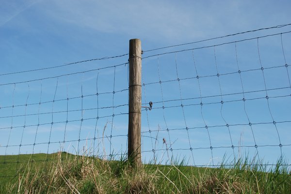 Fence and Pole