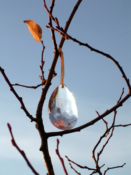 Crystal drop on tree 2