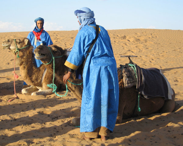 Camels and the Sahara