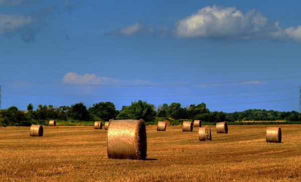 Hay in HDR