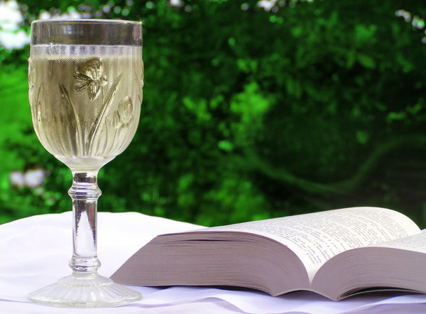Glass of wine with book