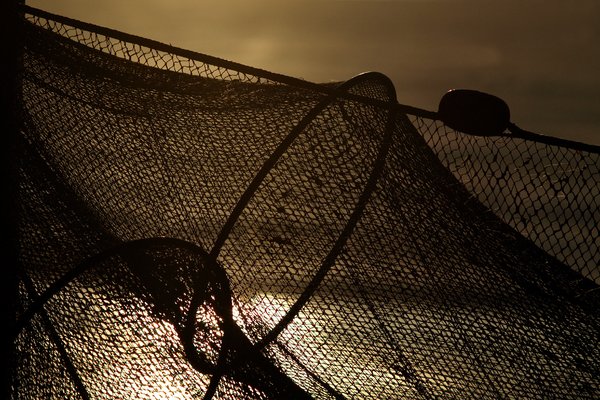 Fishing net in baacklight