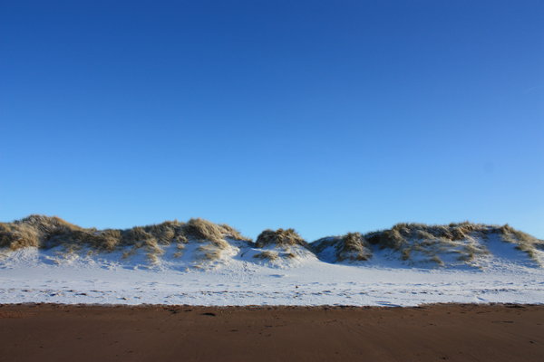 Winter beach 2