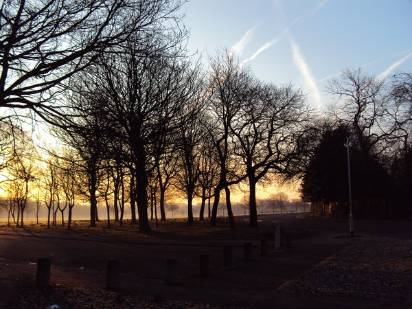 Dawn in Newsham Park