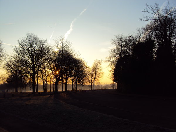 Dawn in  Newsham Park