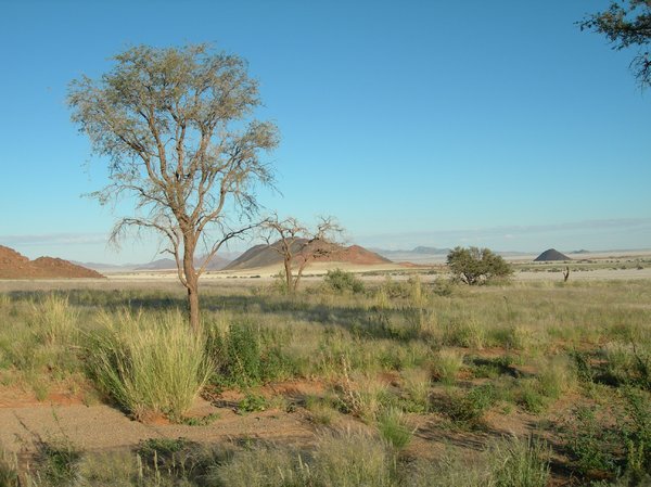namib desert 2