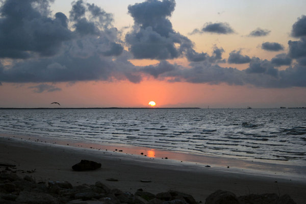 Sunrise Galveston Bay 6-11-05