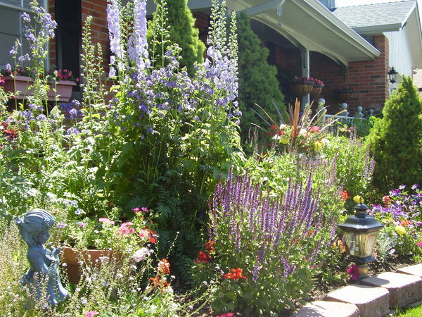 garden in July, 1
