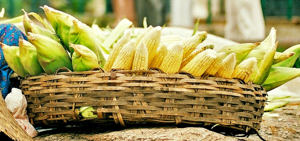 Corn basket