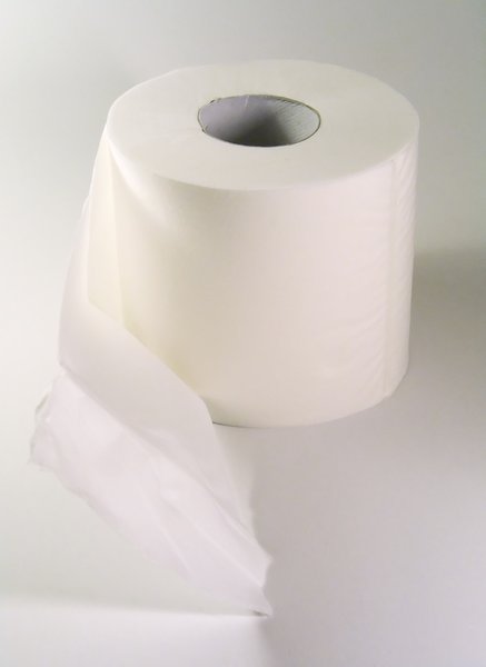 Toilet paper 4