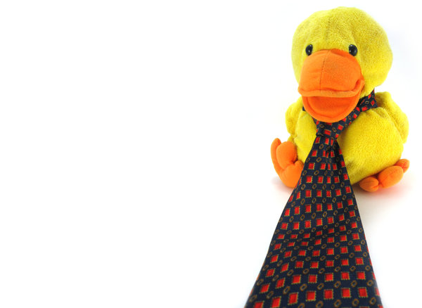 Quack-in-Tie B 2
