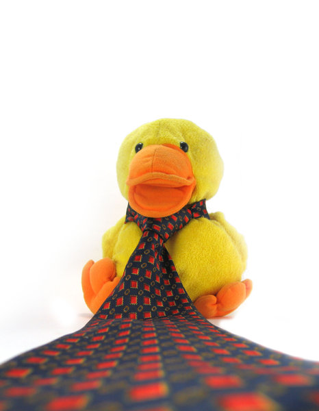 Quack-in-Tie B 4