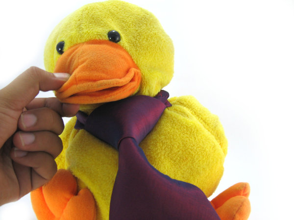 Quack-in-Tie 3