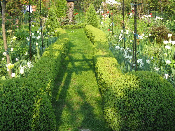sunny hedgeway