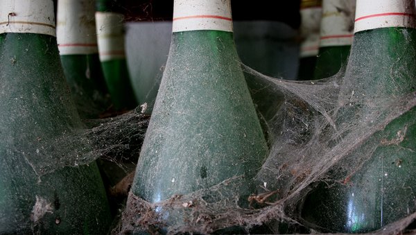 cobwebbed wine bottles