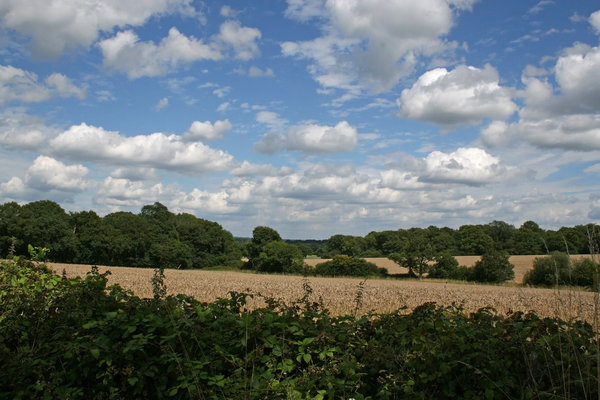 Sussex countryside