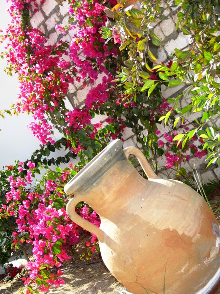 flower and jug