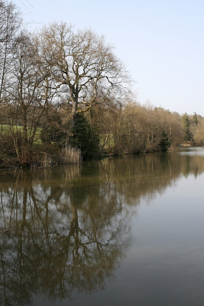 Lakeside in early spring