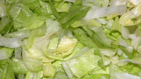 Sliced Iceberg lettuce 2