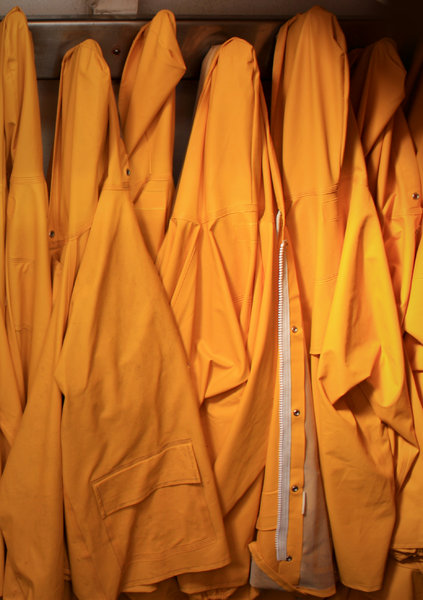 Yellow sailor coats