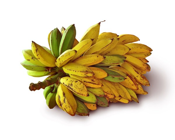 Going Bananas in Brazil