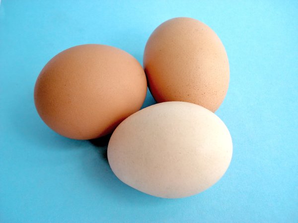 Chicken Eggs 3
