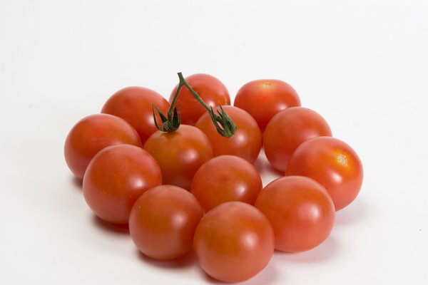 isolated tomatos