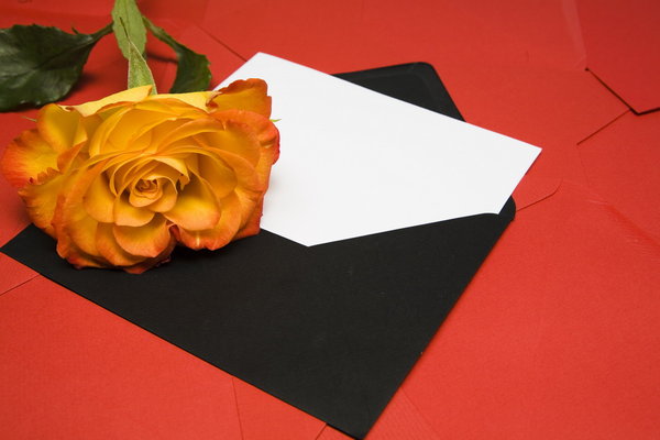letter and rose concept