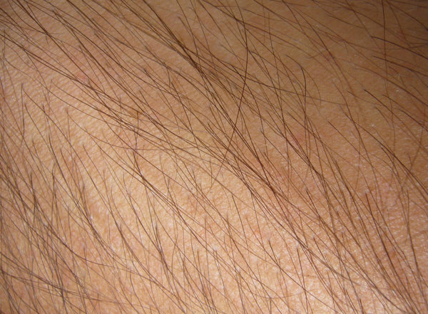 Hairy Skin Texture