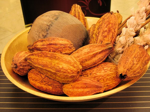 cocoa fruits 3