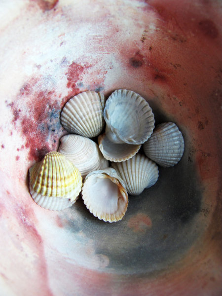 shells in bowl