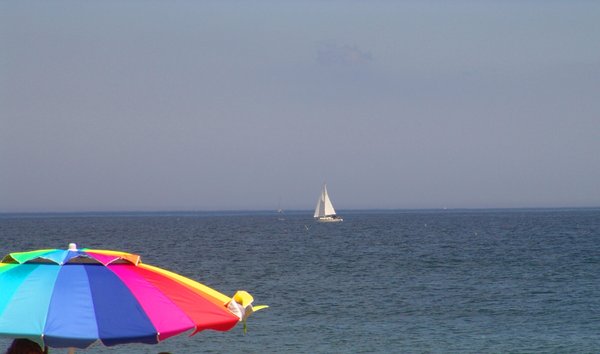 Beach Umbrella's